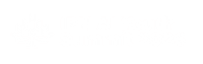 IPN AI Youth Summit 2026
